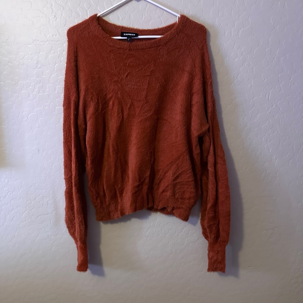 Express Women's Burnt Orange Sweater